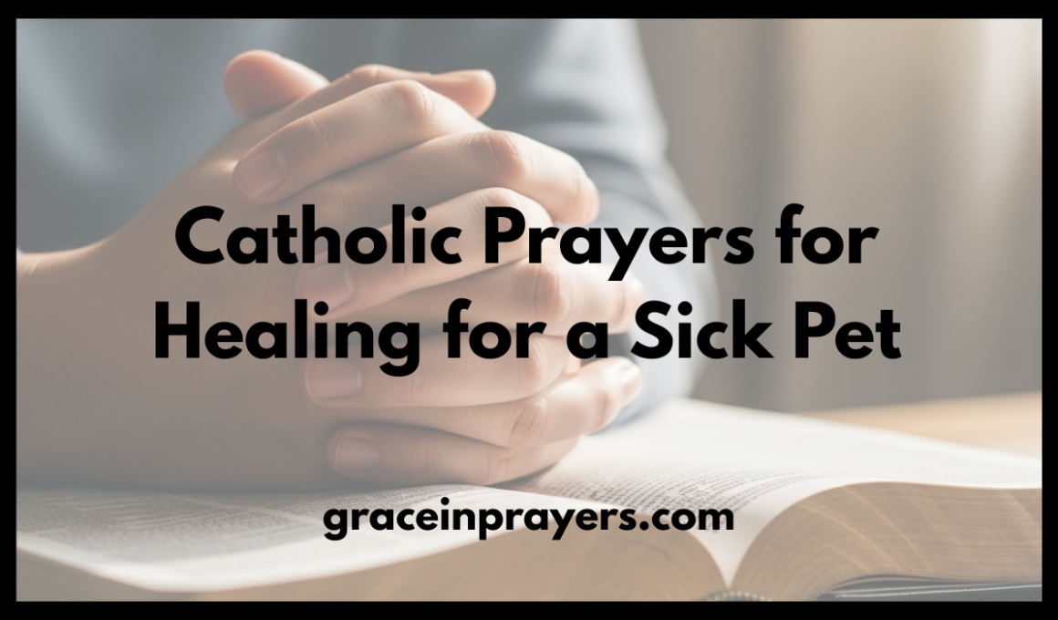 Catholic Prayers for Healing for a Sick Pet