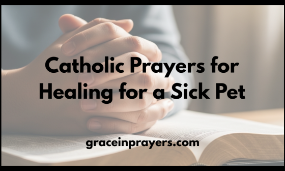 Catholic Prayers for Healing for a Sick Pet
